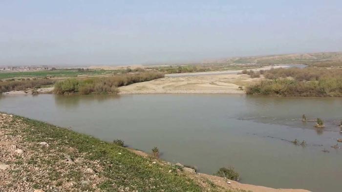 Photo of Millions of fish will die in the Kurdistan Region this year: an official